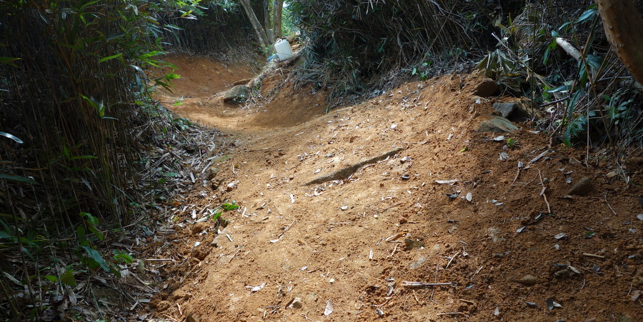 Downhill Chicane made sustainable