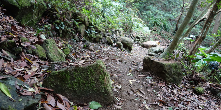 tight singletrack with rock choke