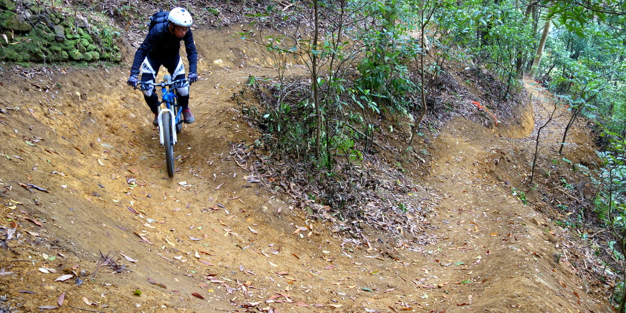 flowy switchberm