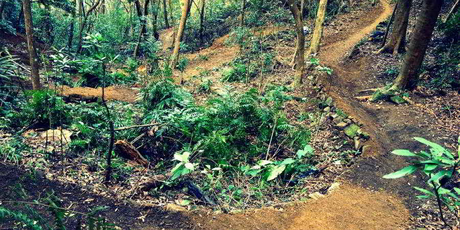 Stack Turns around the Creek