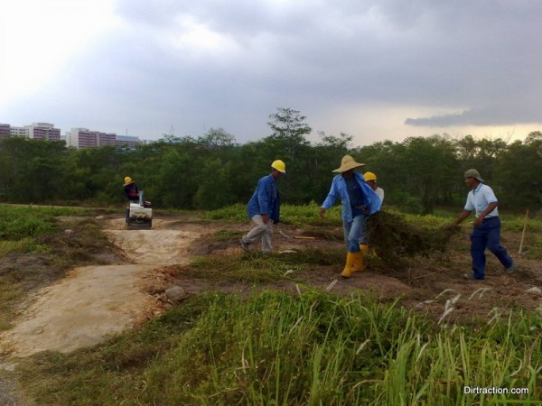 the vegetation is great for various task, nice coverage for a fresh cut trail