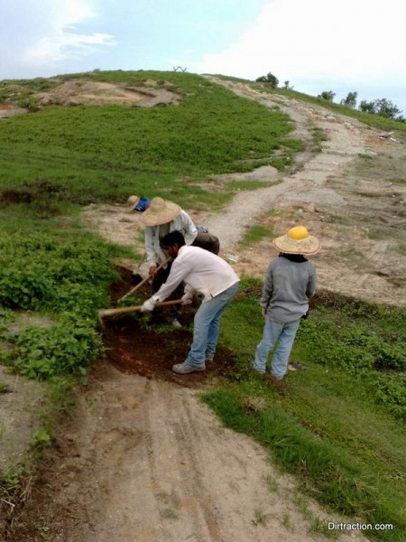 benchcutting the last bits of connectivity between sections