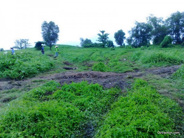 work highway, the path where dumper roams