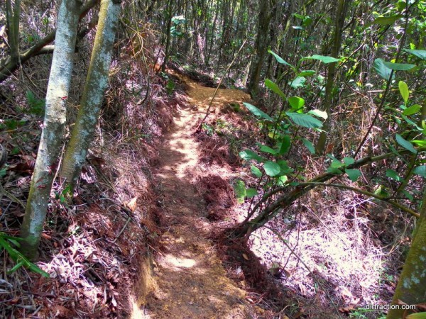 simple bench cut for this tight trail