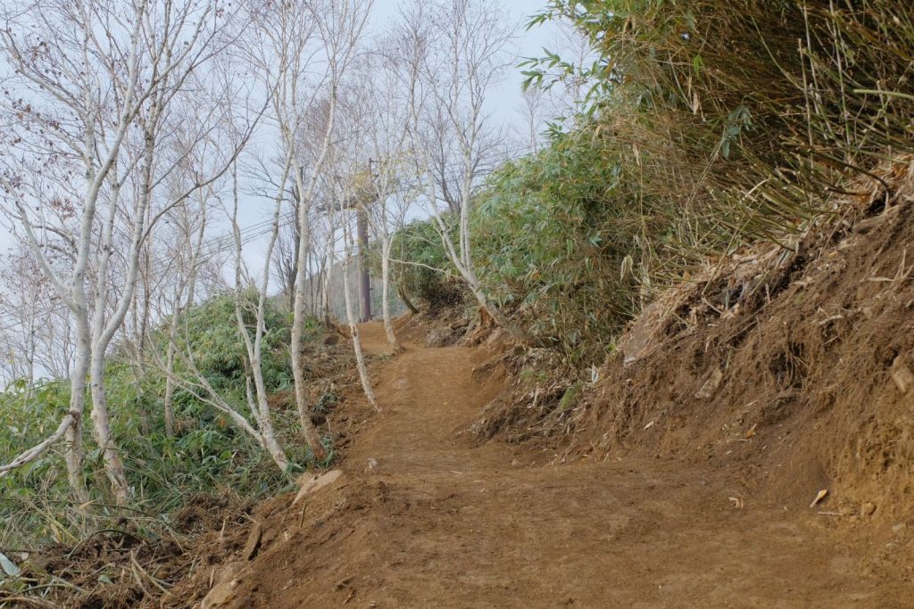 Hirafu Construction Autumn Through the Forest