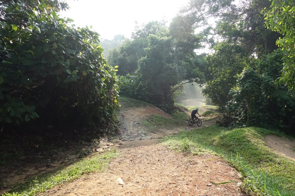 MountainBikeTrails Singapore ChestnutNaturePark BikePark SkillsLine