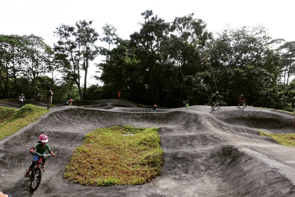 MountainBikeTrails Singapore ChestnutNaturePark ChestnutPumpTrack