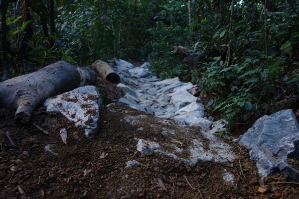 MountainBikingTrail Singapore BukitTimah RockandDrop