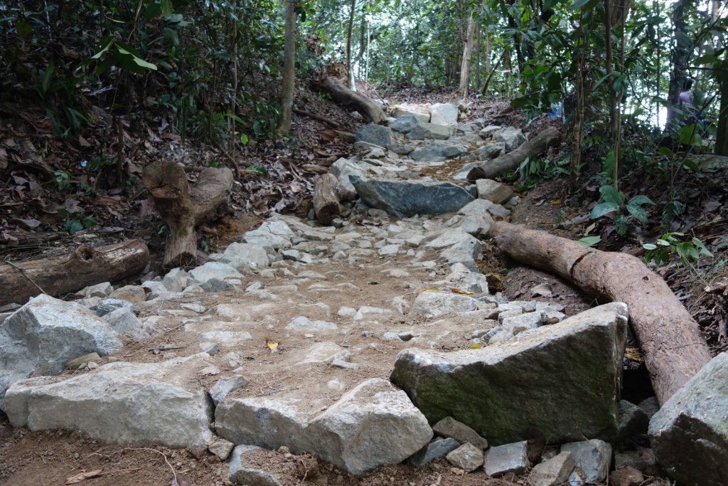 MountainBikingTrail Singapore BukitTimah RockandDrop