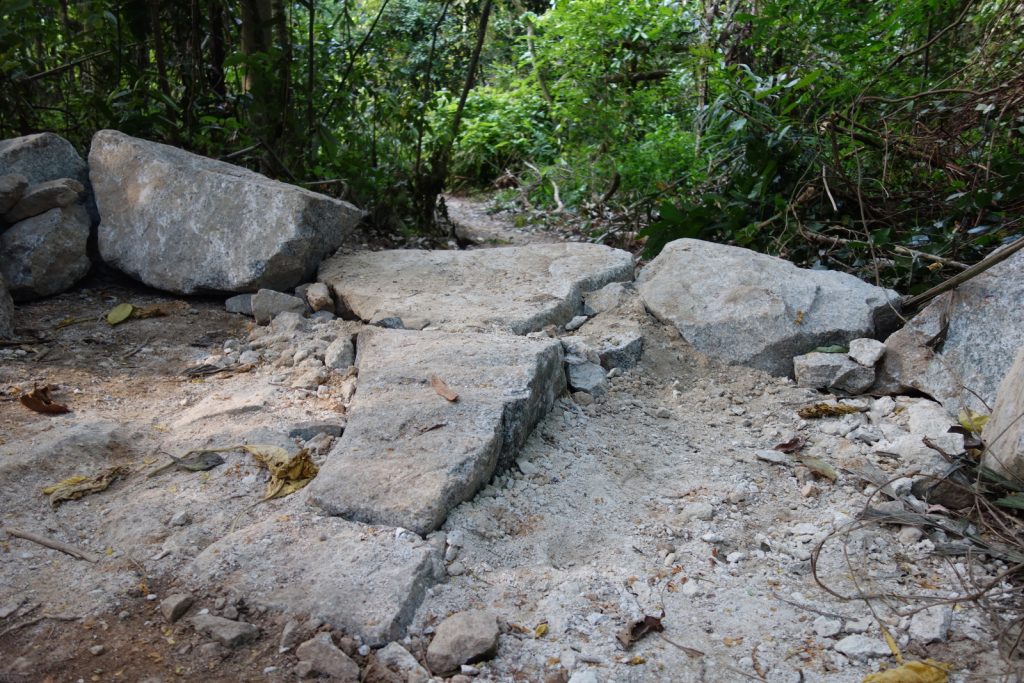 MountainBikingTrail Singapore BukitTimah TunnelVision