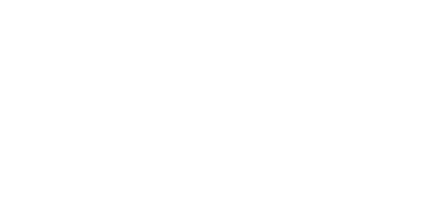 logo simplegravity